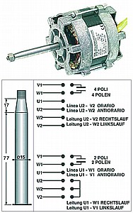 מנוע תנור LAINOX עם ראש הברגה 1057 מנוע תנור LAINOX עם ראש הברגה 1057