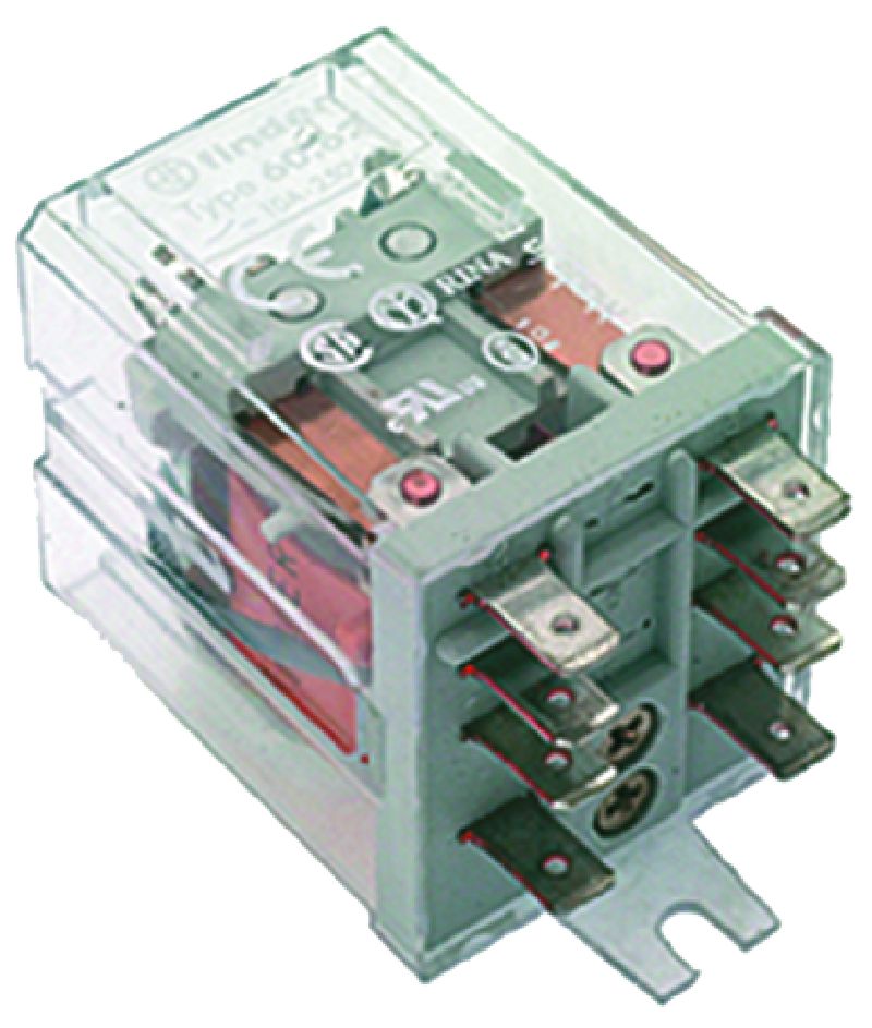 ���� ����� �����